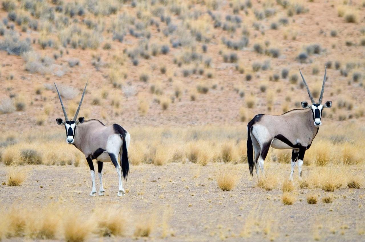 Wilderness Safaris Doro Nawas Villa Twyfelfontein Exterior photo